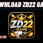Download ZD22 Game
